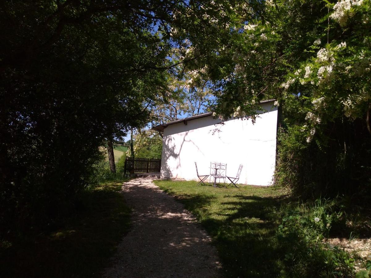 Gite En Pleine Nature Proche Du Lac De La Gimone Saint-Blancard Exterior photo